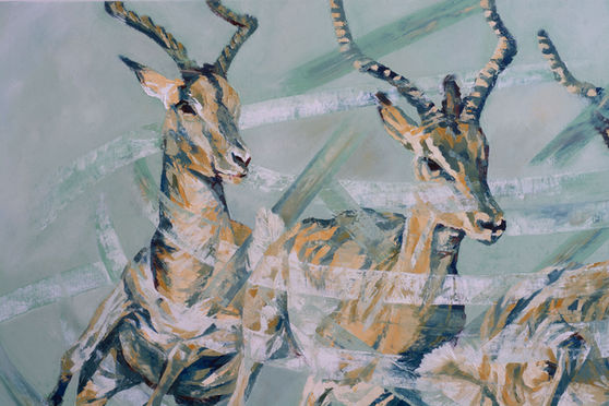 Antelope painting by Hannah Shergold