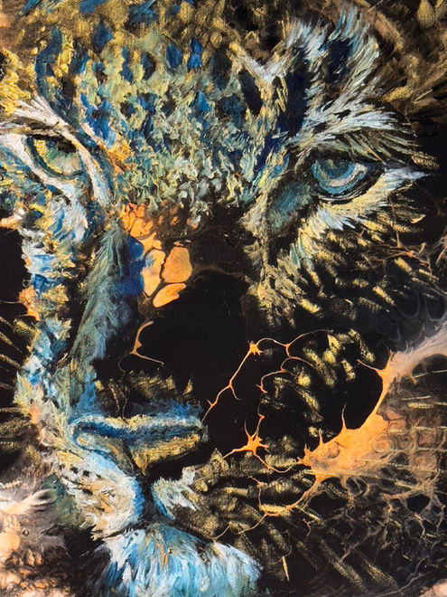 Black Leopard by Hannah Shergold