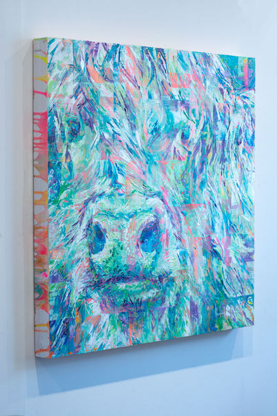 Highland cow painting by Hannah Shergold