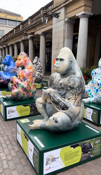 Tusk Gorilla Trail by Hannah Shergold