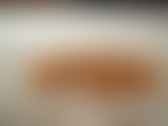 Choosing the Best Carpet Cleaner for Pet Stains