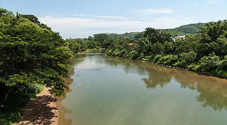 RiversOfSabah_SungaiTuaran-01.jpg