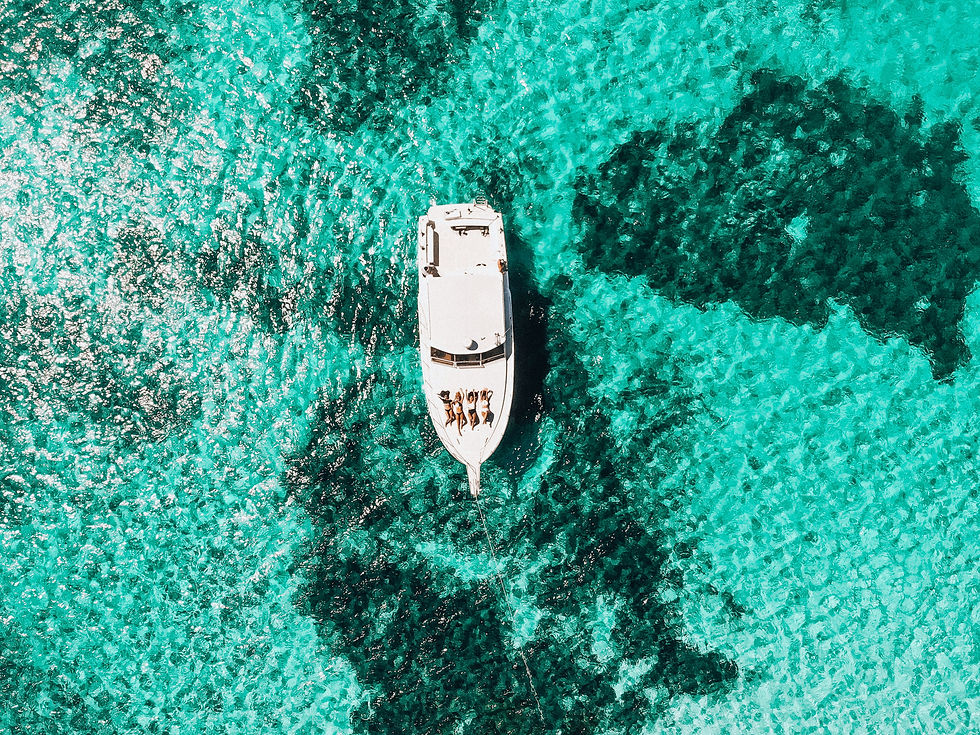 faccenda nautica background.jpg