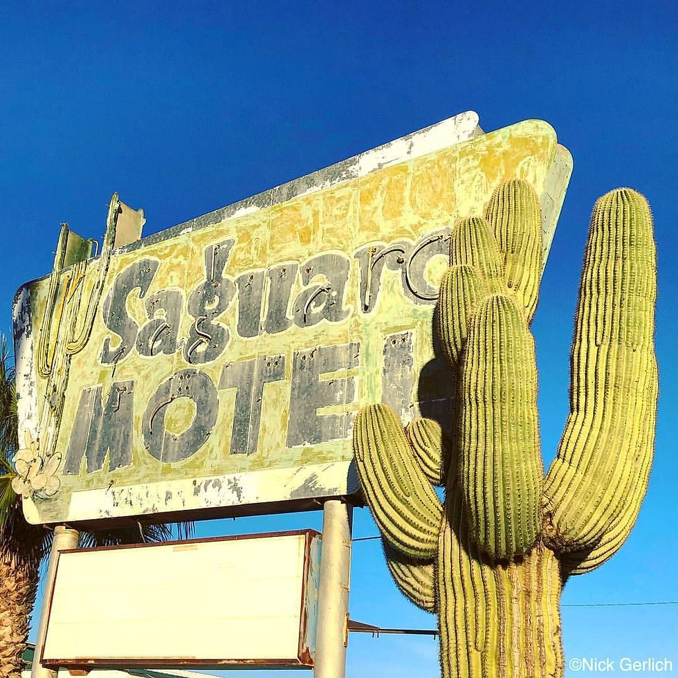 saguaro image.jpg