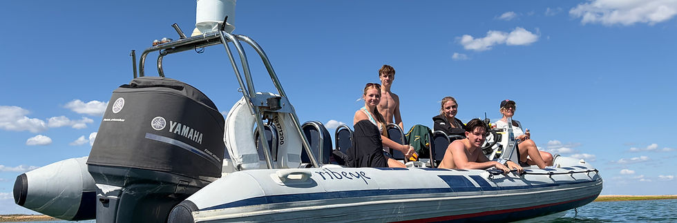 Charter Rib, A Ribeye 785 at anchor Newtown Creek, The Solent. People enjoying having photo taken
