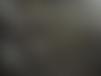 Einführung des Gesellschaftsregisters