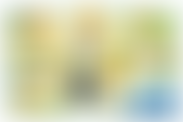 Haushaltshilfe reiss steuerkanzlei steuern sparen absetzen