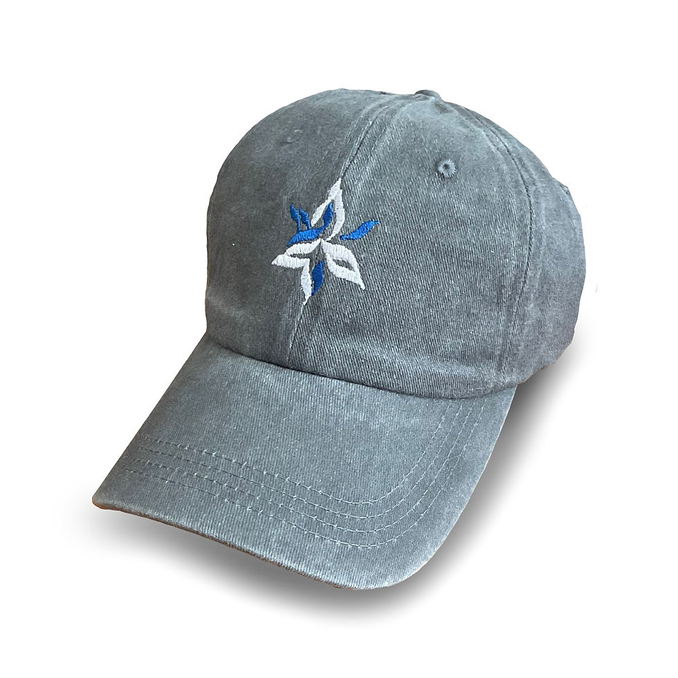 Miniature : MAGEN DAVID