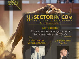 Legislación definitiva para la Fiesta Brava en la CDMX