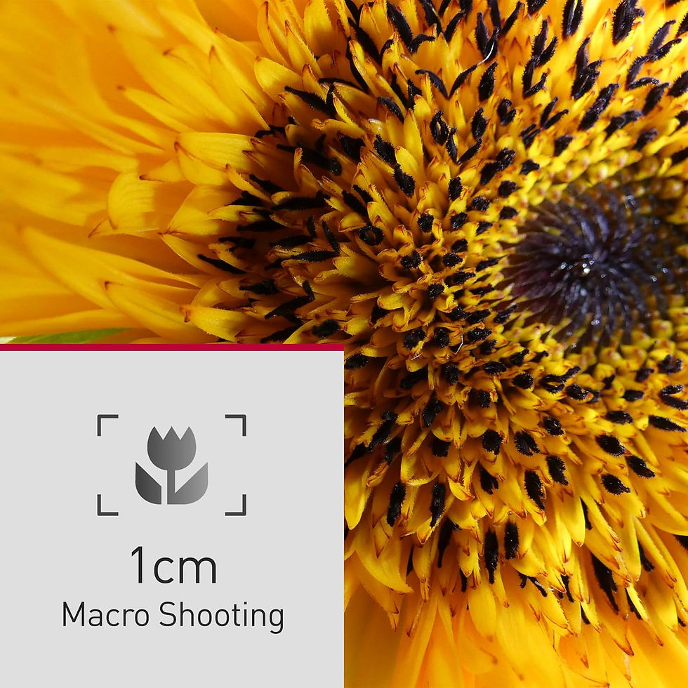 Thumbnail: Panasonic LUMIX FZ80D Point and Shoot Digital Camera