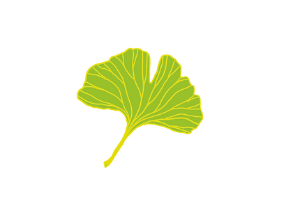 Ginkgo spring.png