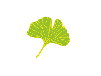 Ginkgo spring.png