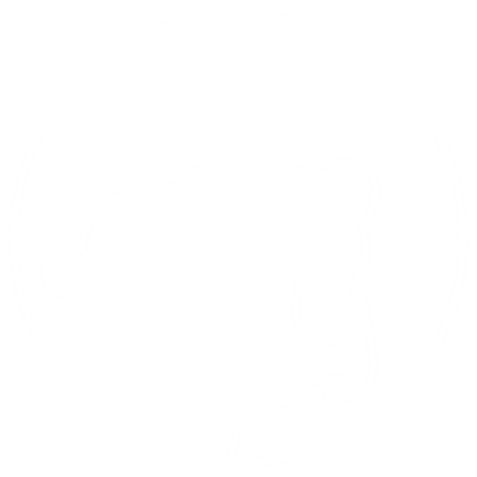 WEARESAEG DIGIAL MARKETING LOGO WHT.png