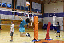 Little Spiker_edited.jpg