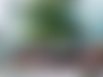 The Benefits of Working Outdoors