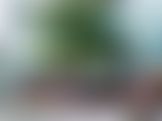 The Benefits of Working Outdoors