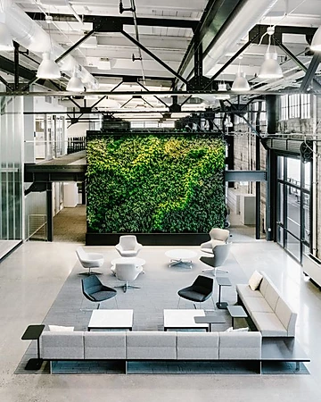 How Employees can Benefit from Office Greenery...