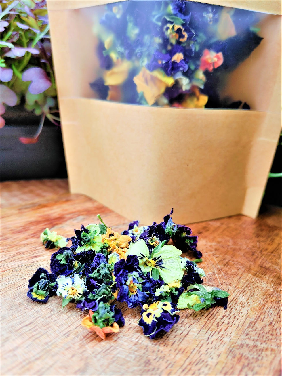 Thumbnail: Tea: Viola Tea