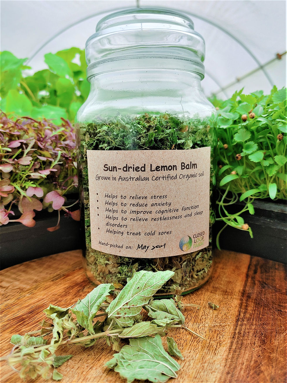 Thumbnail: Tea: Sun-dried Lemon Balm