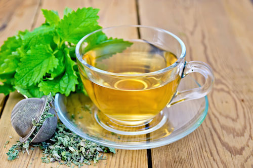 Thumbnail: Tea: Sun-dried Lemon Balm