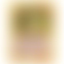 Can you make money investing in Pokémon TCG today?