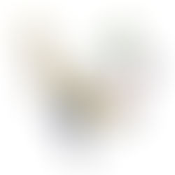 New Pokémon Set "Battle Partners" Brings Back a Favourite Gimmick