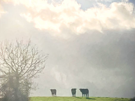 How can you transform an exceptional photograph into a great painting