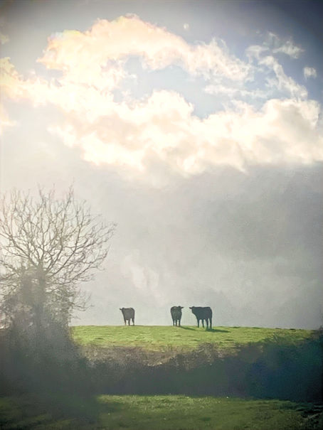 How can you transform an exceptional photograph into a great painting