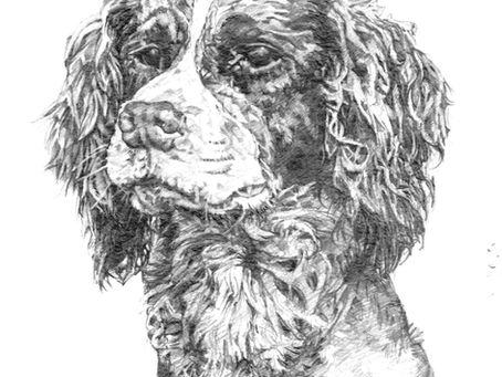 Celebrating the Legacy of Peter East: Release of Stunning Limited Edition Prints