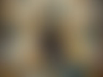 The Emperors New Clothes. Is it me or is it the vocabulary of velvet fog?