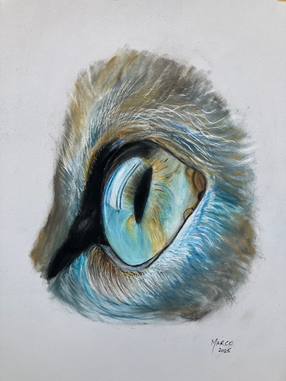 Lanzamiento emocionante: ¡MyEyeCon.com/es trae impresiones Giclée de edición limitada de la serie Eyecons de Art-Marco a los fanáticos!