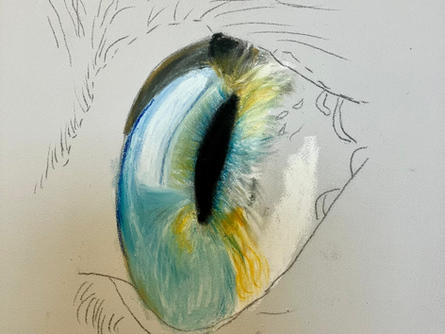 “Cat”: A Pastel Eye & Fur Texture Tutorial