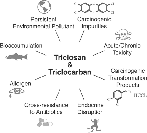 Everyday Use of Antimicrobials May Do More Harm Than Good