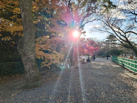 10月12日 スポーツの日も休まず営業いたします