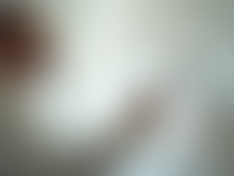 Ontdek onze expertise in schilderwerk en projectondersteuning