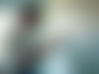 Professioneel schilderwerk en glaszetten voor uw project