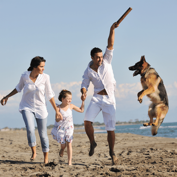 Pet Insurance