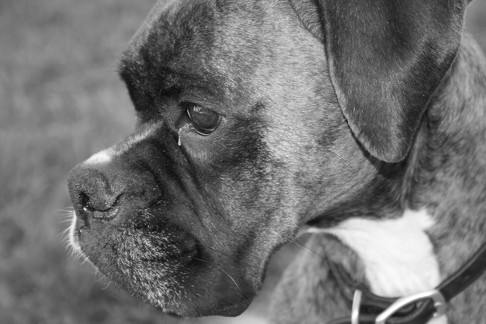 8ballgreyscale