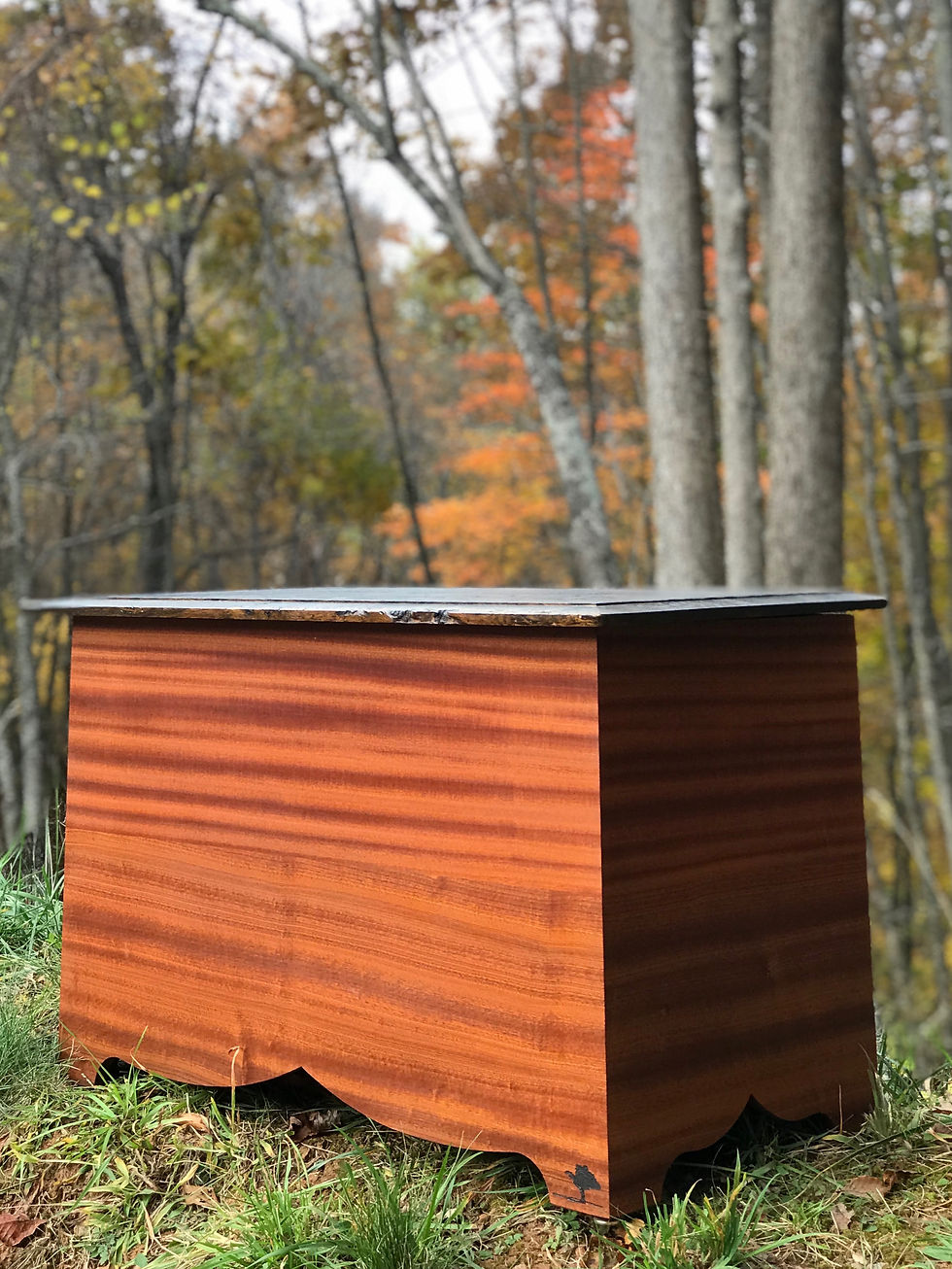 Thumbnail: Pecky Oak Blanket Chest