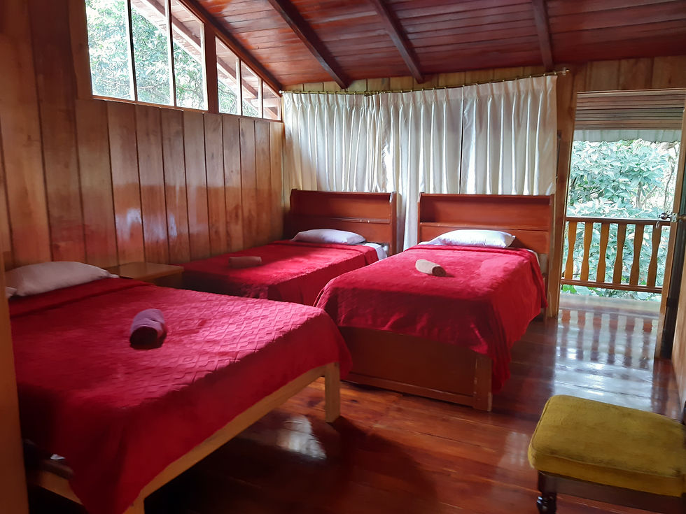 HABITACION CONFORTABLE
