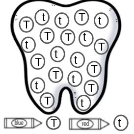 Thumbnail: Prek Dental Theme Packet