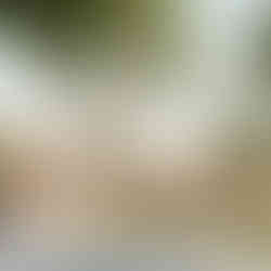 CAMPUS AUTISME  _  MONT-DE-MARSAN (40)