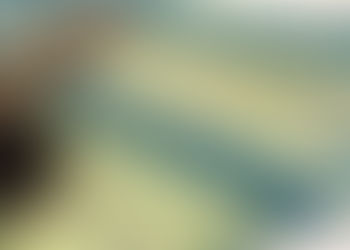 Suspensão de passaporte e CNH não viola direito de ir e vir, diz Tribunal de Justiça