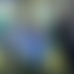 OAB Raul Soares Agradece Patrocínio do Minas Beach para JAM 2025