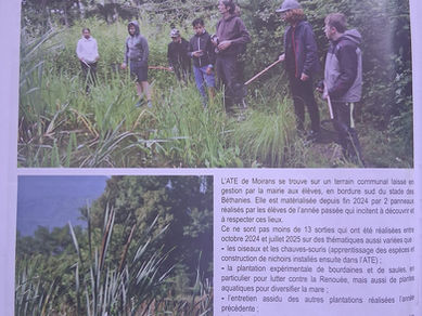 article Moirans Mag été 2025
