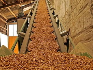 Nghe An wood pellet exports accelerate.