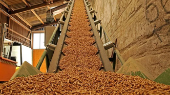 Nghe An wood pellet exports accelerate.