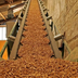 Nghe An wood pellet exports accelerate.