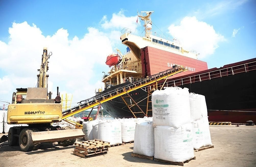 Wood pellet export activities in Nghe An province are expected to be vibrant in 2025.