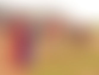 Des nouvelles du projet "Amalanda"